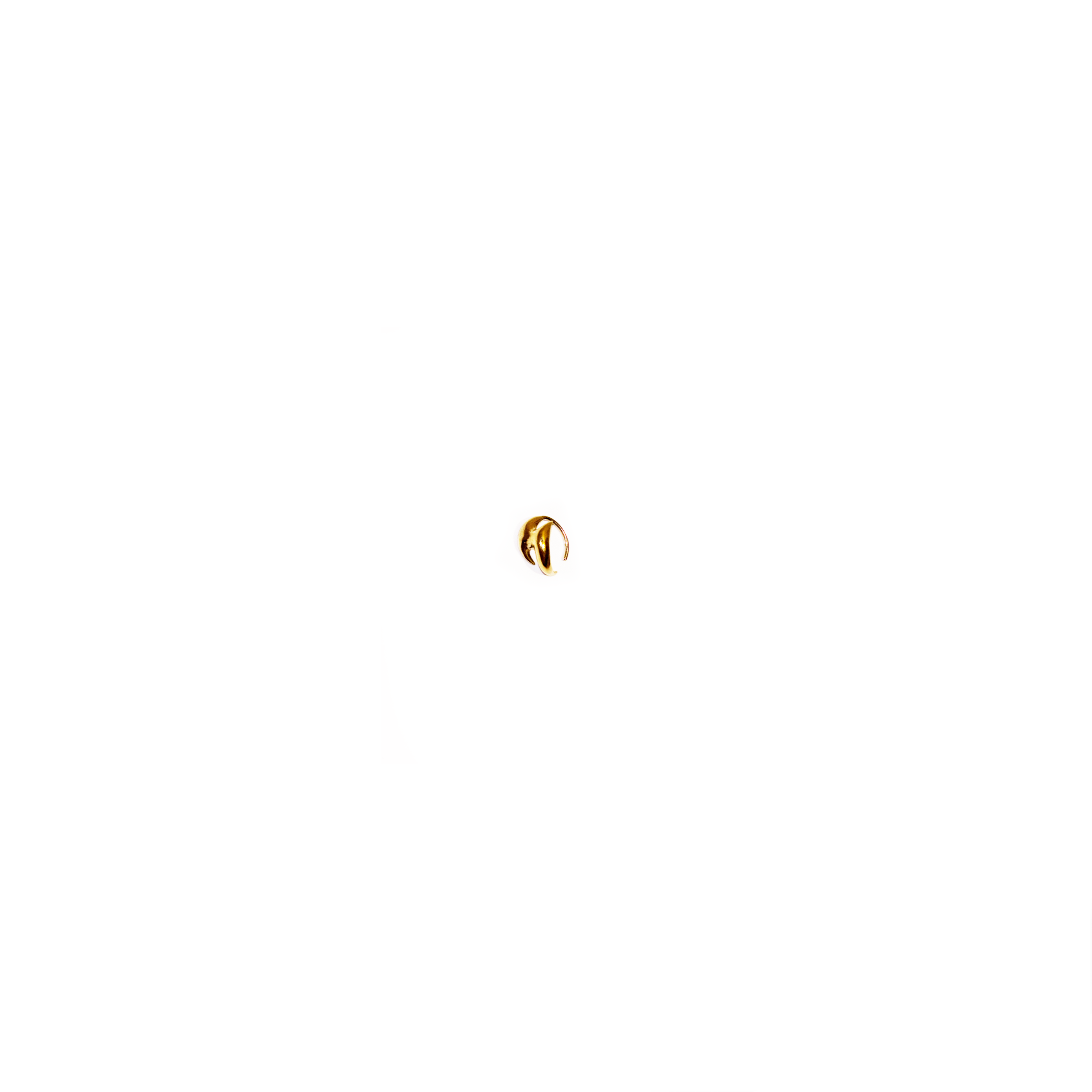 Nose ring INFLATED