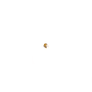Nose ring INFLATED